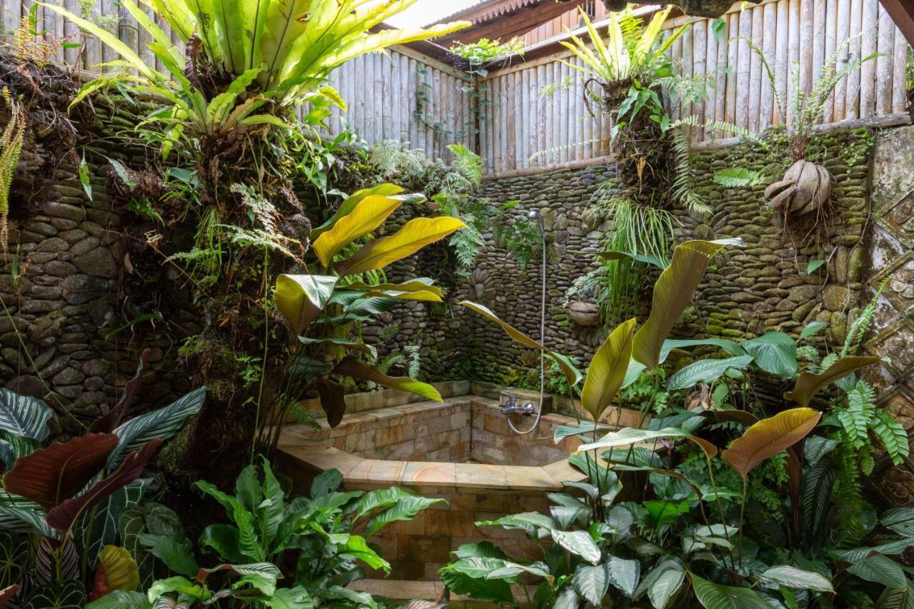 Bali Firefly Bnb Ubud  Luaran gambar