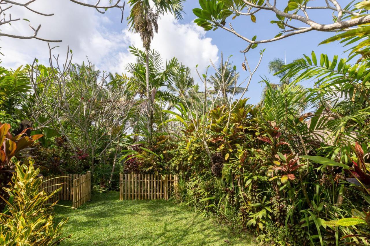 Bali Firefly Bnb Ubud  Luaran gambar