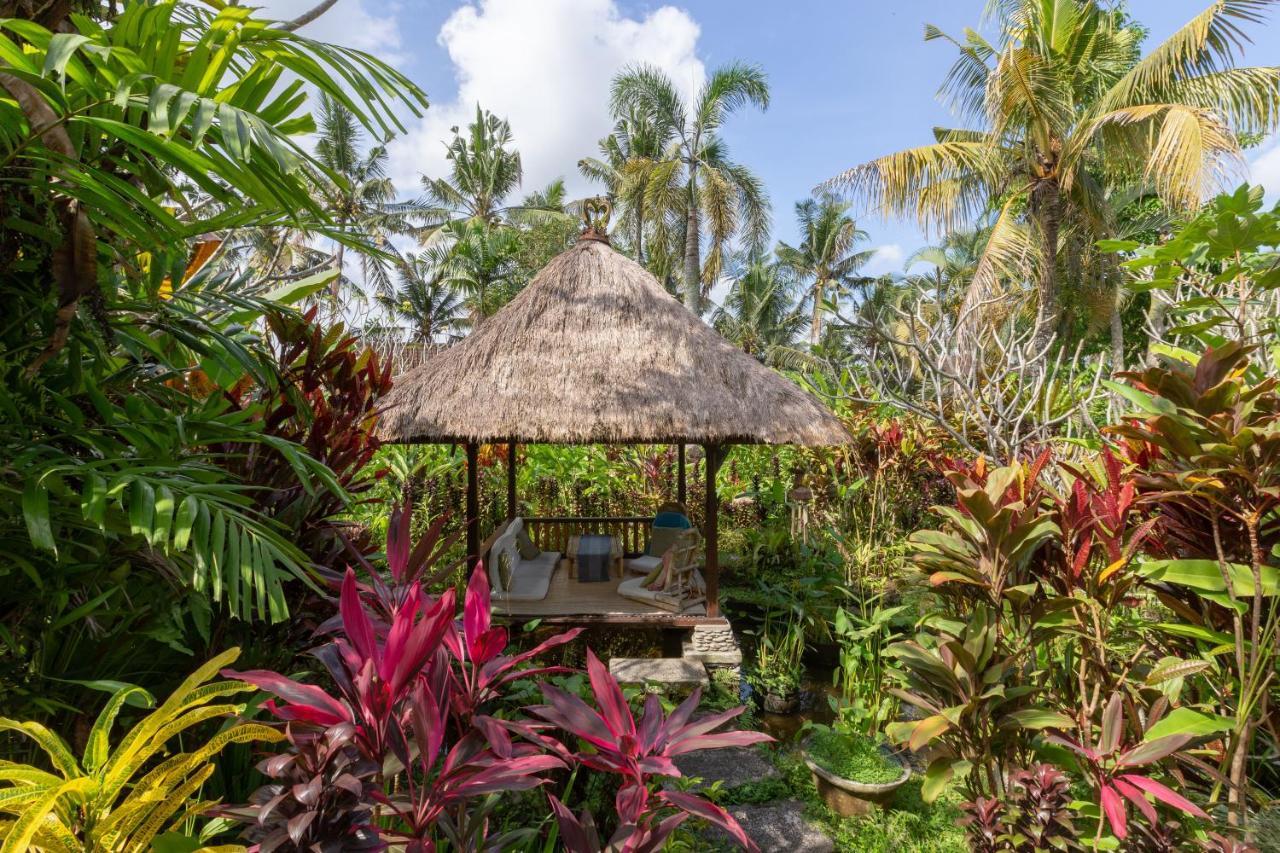 Bali Firefly Bnb Ubud  Luaran gambar