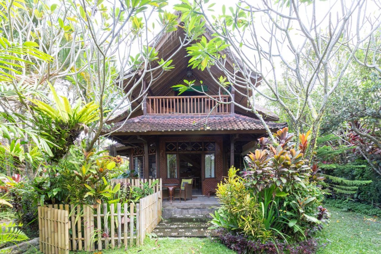 Bali Firefly Bnb Ubud  Luaran gambar