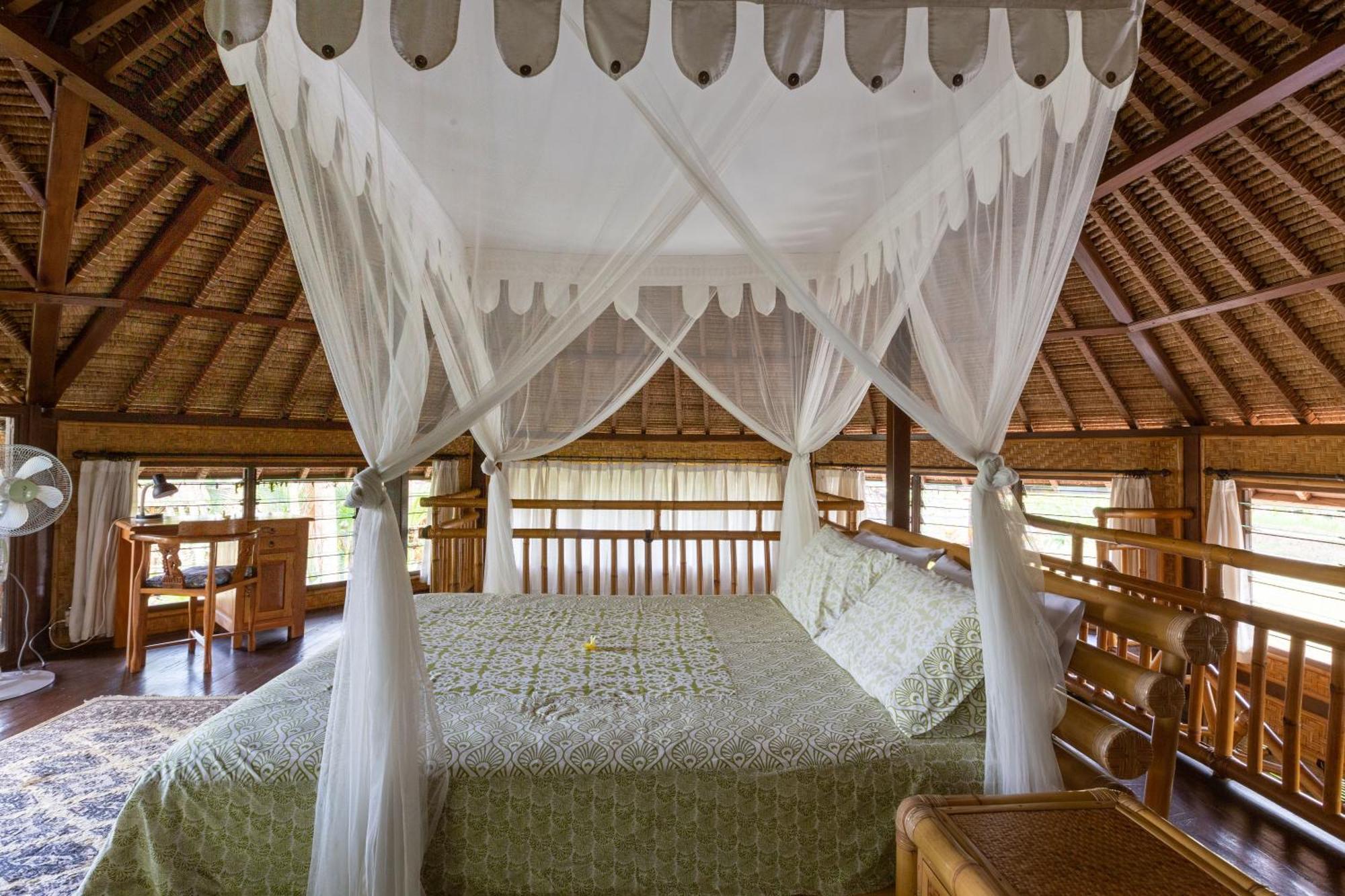 Bali Firefly Bnb Ubud  Bilik gambar