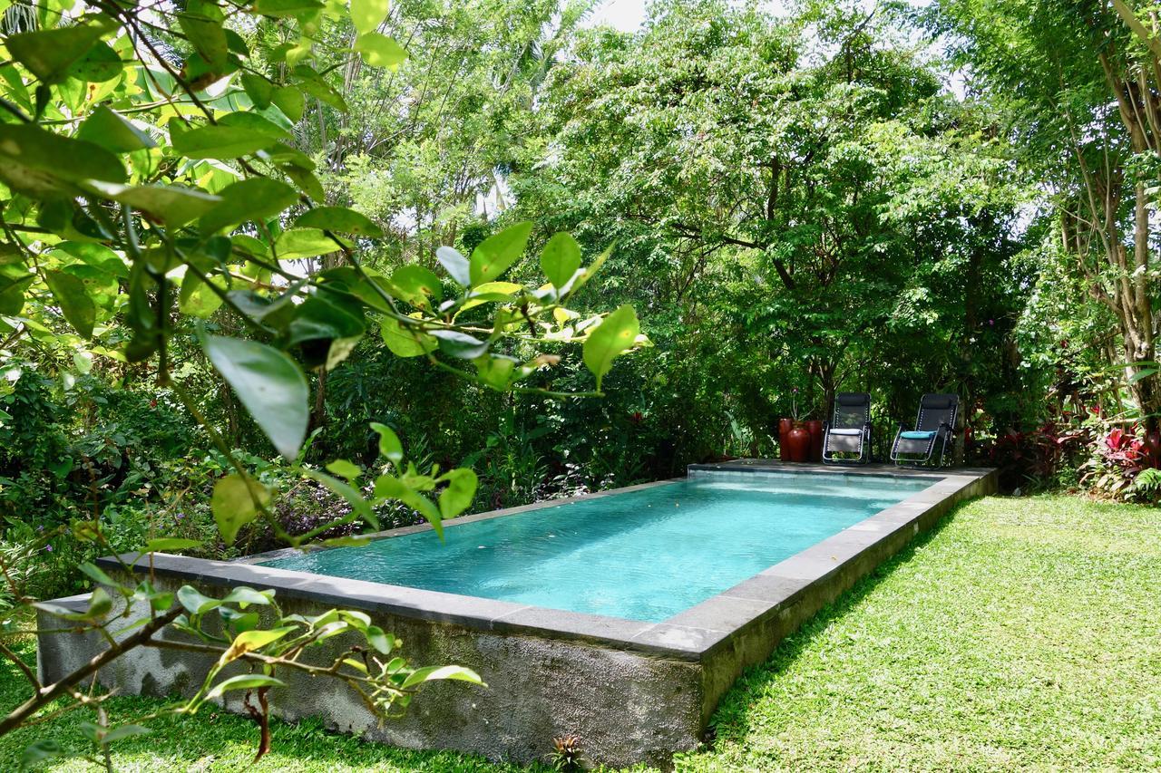 Bali Firefly Bnb Ubud  Luaran gambar