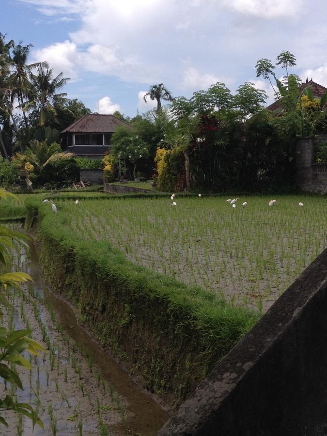 Bali Firefly Bnb Ubud  Luaran gambar